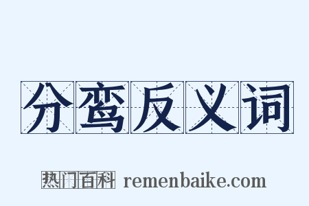 分鸾反义词是什么意思的图片